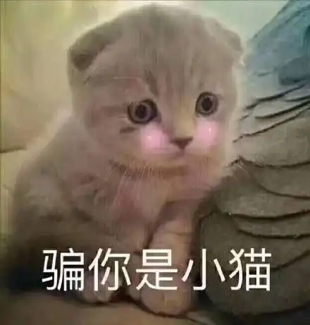 画斗图熊猫表情包素描小