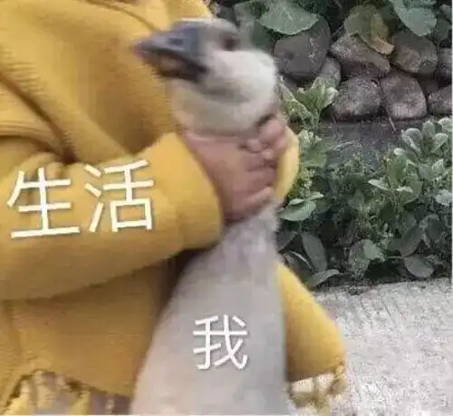 我有罪图片表情包爱情水