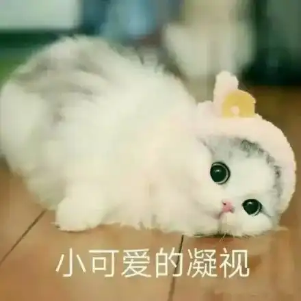  马丽比老公大11岁,怎么圈内女星都爱小鲜肉....