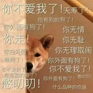  说说吧,去哪玩了今天如果你出门玩没带你家狗