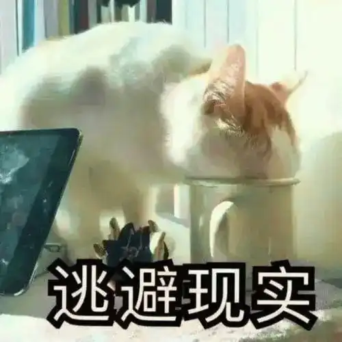  猫有话好好说,请不要掀被窝