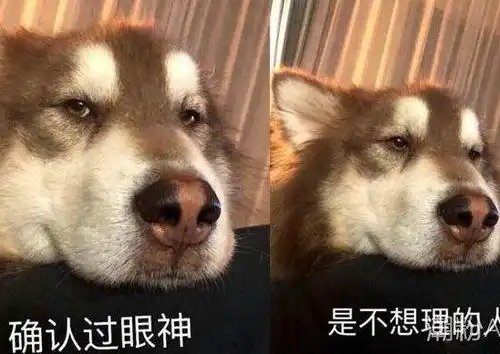  抖音确认过眼神搞笑表情包下载高清无水印版