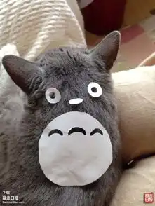  如何让家猫秒变龙猫不管哪个都超萌