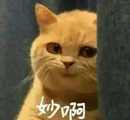 p表情包文字的软件猫咪