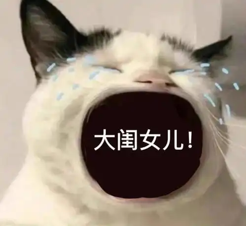  笑话十条我在家里的地位真是太高了,老婆时时刻刻都要巴结我