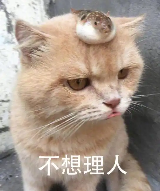 呜呜呜表情包熊猫橘猫