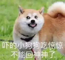  尝一口东门切糕吗,切一小块就要一天生活费那种价格便宜