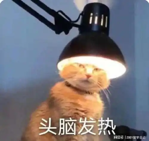  不装了摊牌了这4家澳洲硕士留学中介测评速看