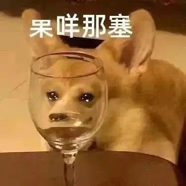  乱七八糟的表情包,我可太喜欢了