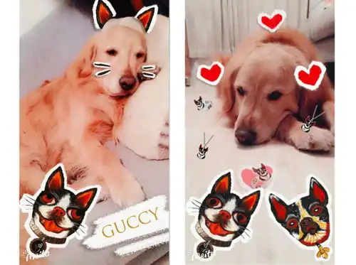  表情先别着急买gucci丨过上gucci式生活才是真厉害内含福利腾讯新闻表情