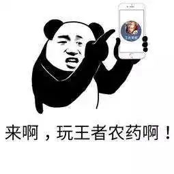  美好暑假让不速之客走开