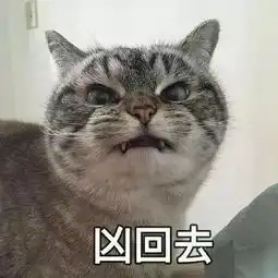  萌宠明明说好一起胖,你却偷偷在减肥果然贱人就是较轻