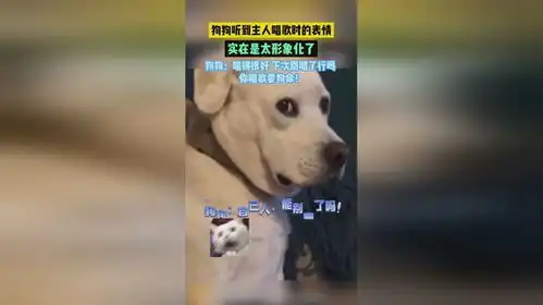  狗狗听到主人唱歌时的表情,实在是太形象化了,狗狗唱得很好,下次别唱了行吗