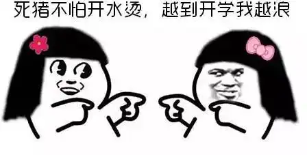 摊牌了表情包国美