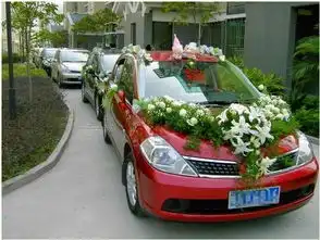  苹果动态图片苹果qq表情大全第1页朝夕网qq表情