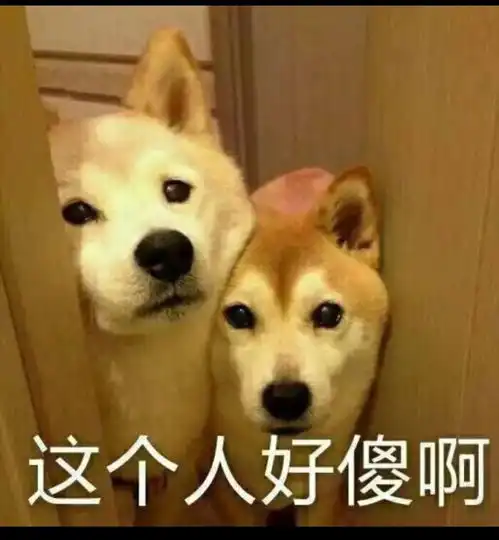  如何给孩子进行性教育