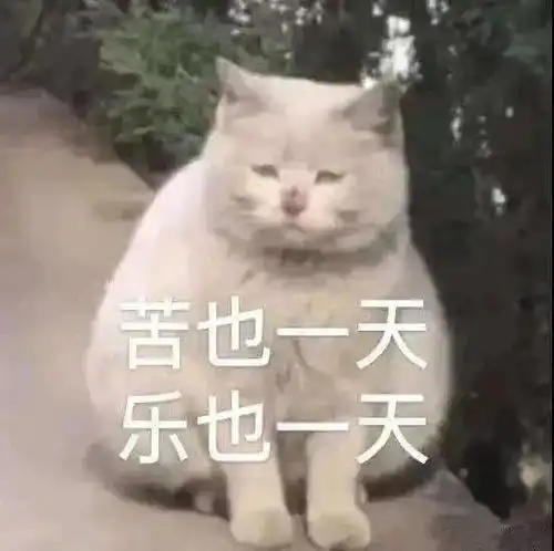  表情包分享我挨打了,快来帮我