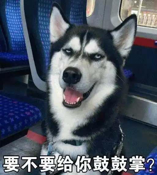  养狗,使我做到了说谎时脸不红心不跳