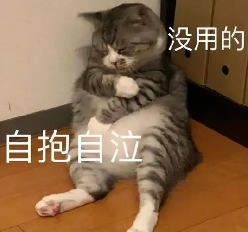 表情包唉,起床赚钱了
