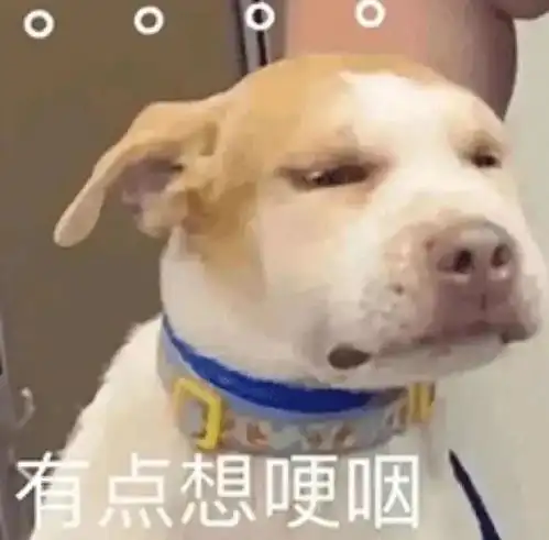  她鼻背两旁的小疙瘩,到底是啥