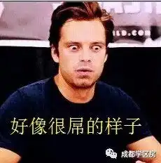  石室天府附小学区能和泡小天府抗衡吗