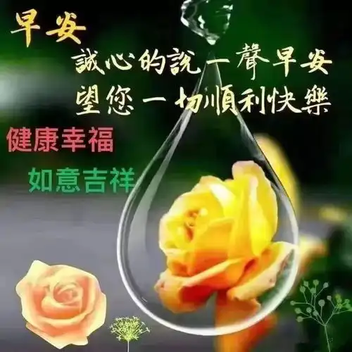  微信朋友圈早安问候祝福语图片带字经典的早上好问候动态表情图片祝福语