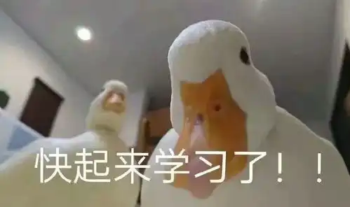 亲亲表情包可爱无水印鸭