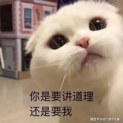  不要试图和父母讲道理,最后都是句我是你妈结束战斗毫无道理