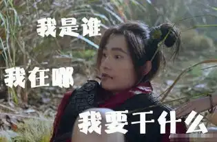  武动乾坤林动杨洋带字搞笑表情包我感觉有点委屈略略略
