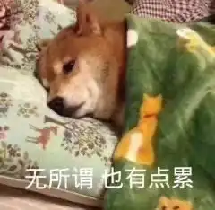  八卦班长恋爱对象,现在可能要把班长的恋爱搅黄了