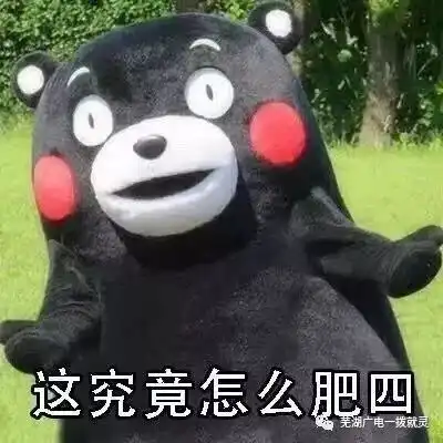  砰芜湖一男子被车撞倒,却不敢报警真相可恨