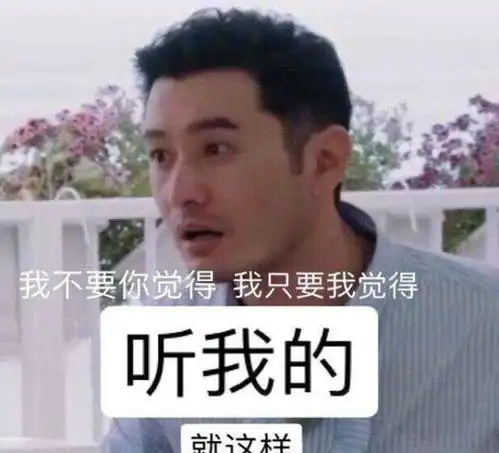 穿裙子的表情包我不听