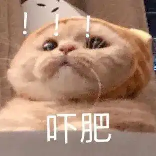  国货护肤以前你爱理不理现在你高攀不起
