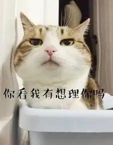  求你不要再学猫叫了,猫会叫都是人逼的