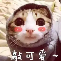  最后一个月,考研英语作文拿满分的秘密都在里面