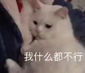  可爱表情包聊天撩人表情包