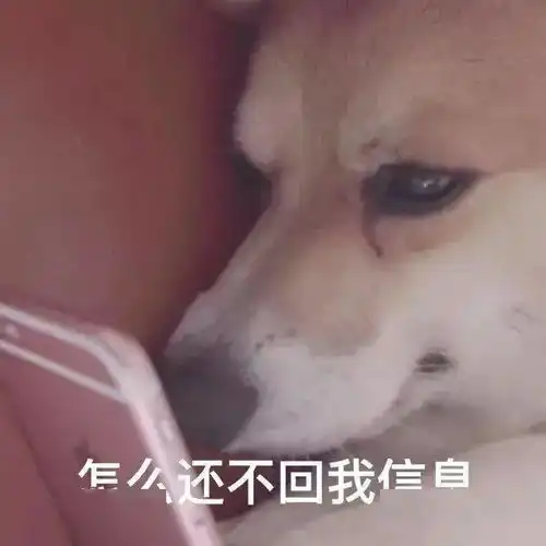 分一点运气给你表情包表