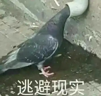  旗舰来咯停火快停火五个字让海盗倒贴我2e