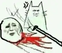  西天取经我娶你土味情话合集猫咪撩妹撩汉表情