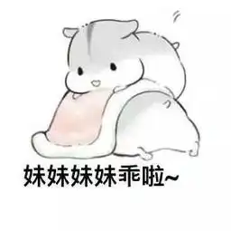  仓鼠日常表情包兄妹版下载仓鼠兄妹日常表情包无水印版下载飞翔下载