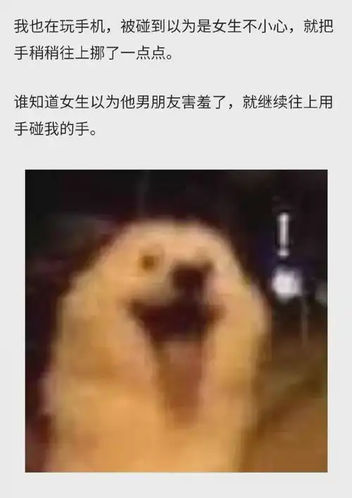  在地铁扶杆上被情侣反复摸手,这就是爱的导体吧还吃了不少狗粮
