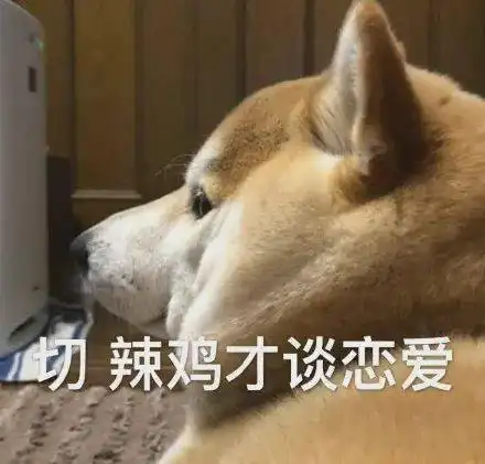 单身狗证表情包单身