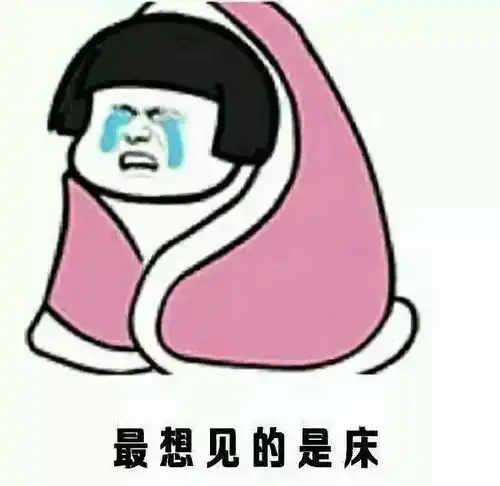 披被子表情包高清