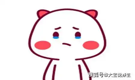  幽默笑话老妈是个很严肃的人,老婆在她面前大气都不敢喘一下