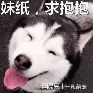  哈士奇表情包,治愈你的不开心,你有被逗笑吗