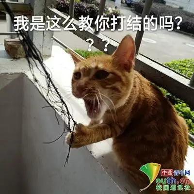  学习斗图两不误医学生自制x光点赞手势表情包缓解压力