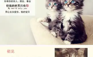  伊纳宝啾噜系列精选金枪鱼和扇贝柱猫湿粮14g4包