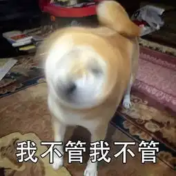  魔性柴犬表情包