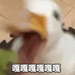  最近很火的抓鸭子是什么梗表情包来了