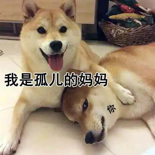  细细研究每一个孤儿作风的人,你会发现都拿的是主角剧本